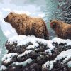 Bear and Cub - Animals Paint By Number