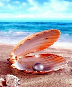 Pearls on the Beach - Seascape Paint By Number
