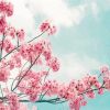 Blossom Branch - Flowers Paint By Number