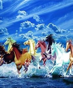 Horse and Waves - Animals Paint By Number