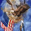 American Eagle - Birds Paint By Number