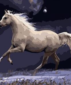 Galloping White Horse adult paint by numbers