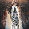Cat Reflection Tiger - Animals Paint By Number