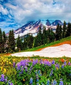 Ice In The Spring - Landscape Paint By Number