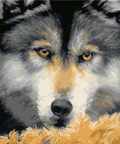 Scary Fierce Wolf Eyes - Animals Paint By Number