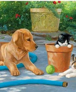 Dog With Cats in a Yard - Animals Paint By Number