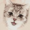 Brown Eyes Cat - Cartoon and Animation Paint By Numbers