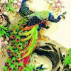 Couple of Peacock - Birds Paint By Number