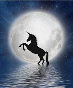 Unicorn Full Moon - Animals Paint By Number