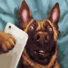 Dog Take A Selfie - Animals Paint By Number