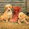 Dogs with a shoe Paint by numbers