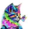 Colored Cat And Butterfly - Animals Paint By Number