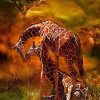 Giraffe Couple paint by numbers