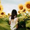 Girl In Sunflower Field paint by numbers