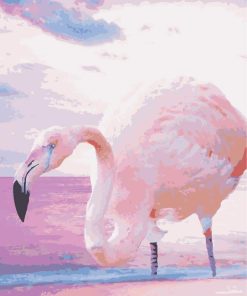 Greater Flamingo paint by numbers