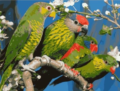 Green Parrots paint by numbers