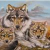 Grey Wolf Family paint by numbers