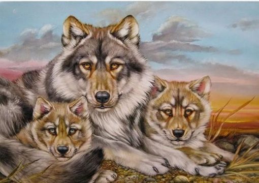 Grey Wolf Family paint by numbers