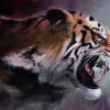 Angry Tiger - Animals Paint By Number