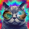Cat Face On Mandala - Animals Paint By Number