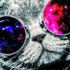 Cat with Space Sunglasses - Animals Paint By Number