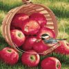 Birds on Apple Basket - Birds Paint By Number