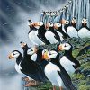 Horned Puffin - Birds Paint By Number