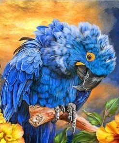 Hyacinth Macaw paint by numbers