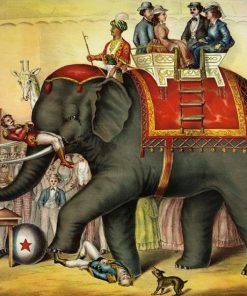 Indian Circus Elephant paint by numbers