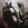 Arabic Horse - Animals Paint By Number