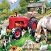 Animals in Farm - Animals Paint By Number