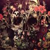 Flowering Skull -  Flowers Paint By Number