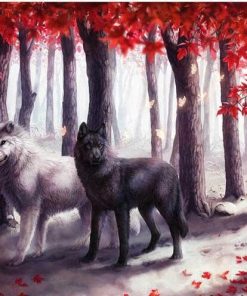 Black & White Wolves - Animals Paint By Number