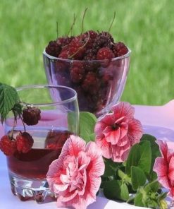 Flower and Berries -  Flowers Paint By Number