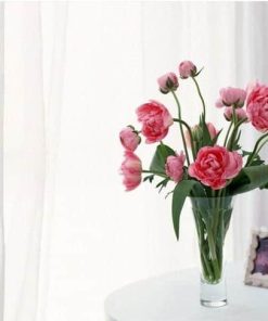 Lobby Flowers - Flowers Paint By Number