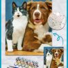 Pets customized painting