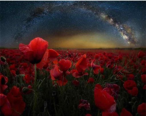 Poppy Flowers in Starry Night paint by numbers