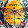 Viceroy Butterfly - Animals Paint By Number