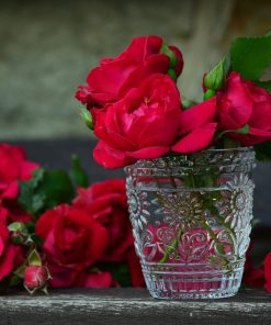 Red Roses in Glass Cup paint by numbers