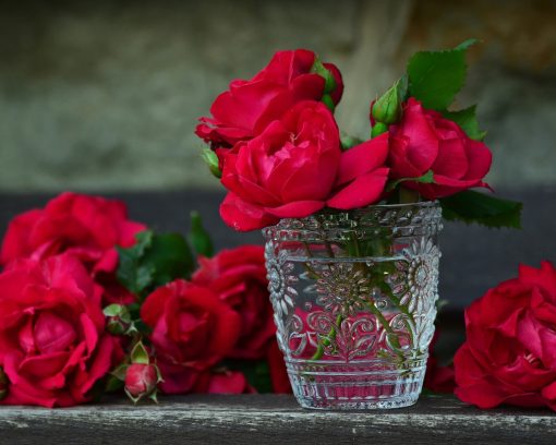 Red Roses in Glass Cup paint by numbers