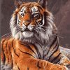 Tiger paint by numbers