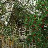 Cabin in Woods And Flowers - Landscape Paint By Numbers