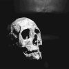 Black And White Skull - NEW Paint By Numbers