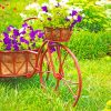 Bicycle Garden Flower - NEW Paint By Number