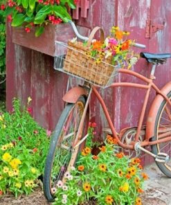 Bike With Flower Basket paint by numbers