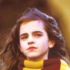 Hermione Granger - NEW Paint By Numbers