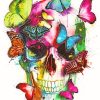 Skull And Butterflies - NEW Paint By Numbers
