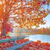 Amazing Autumn Nature - NEW Paint By Numbers