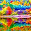 Colorful Trees Autumn - NEW Paint By Numbers