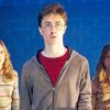 Harry Potter And The Order - NEW Paint By Number